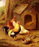 Edgar Hunt - Chickens Feeding